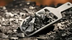 Jakým popelem je nejlepší hnojit rostliny: zapamatujte si tipy zkušených zahradníků