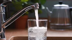 3 účinné způsoby, jak vyčistit kohoutkovou vodu bez použití filtrů