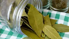 Proč dávat bobkový list pod lednici v kuchyni: odpověď zná jen málokdo