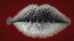 Co jste na obrázku uviděli jako první? Tento jednoduchý test ukáže, zda jste introvert, extrovert nebo ambivert.